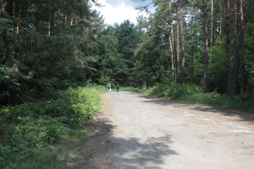 Tą drogą Iza wracała do domu, po tym jak odprowadziła na przystanek koleżankę