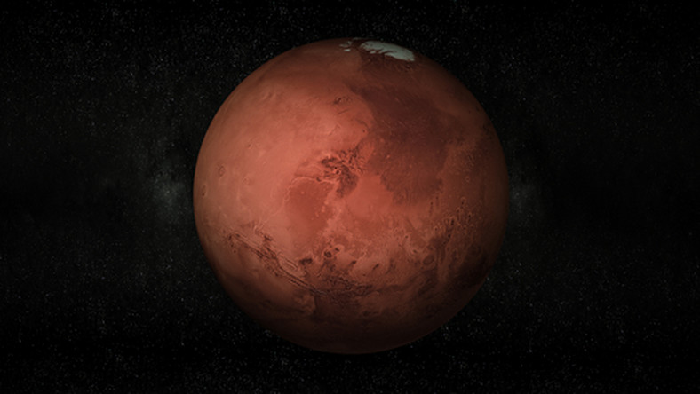Jak poinformowała na konferencji prasowej NASA, na Marsie znaleziono związki organiczne. Wśród nich są m.in. metan i związki siarkoorganiczne.
