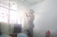 Maribel Gomez, 21, installs a mosquito net over her bed in Cali