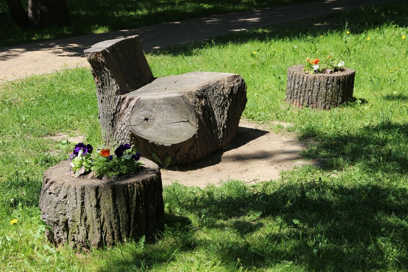 Donica z pnia drzewa - trend 2026