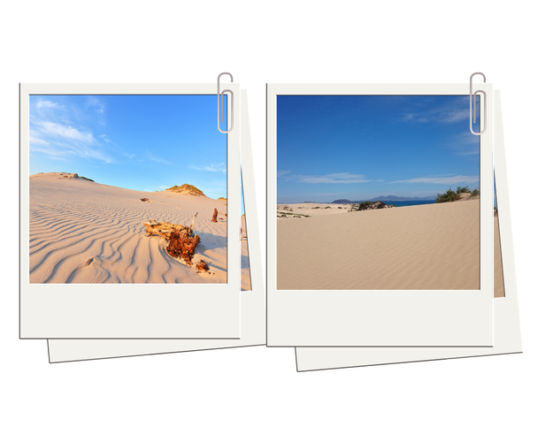 2.Wydmy w Słowińskim Parku Narodowym - krajobraz niczym z Fuerteventury