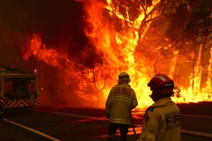 Boty i trolle szerzą fałszywe informacje na temat pożarów w Australii. Służą klimatycznym denialistom