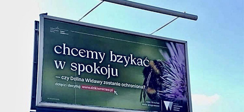 Kochaj, nie rżnij! – jak ekolodzy walczą o Wrocław