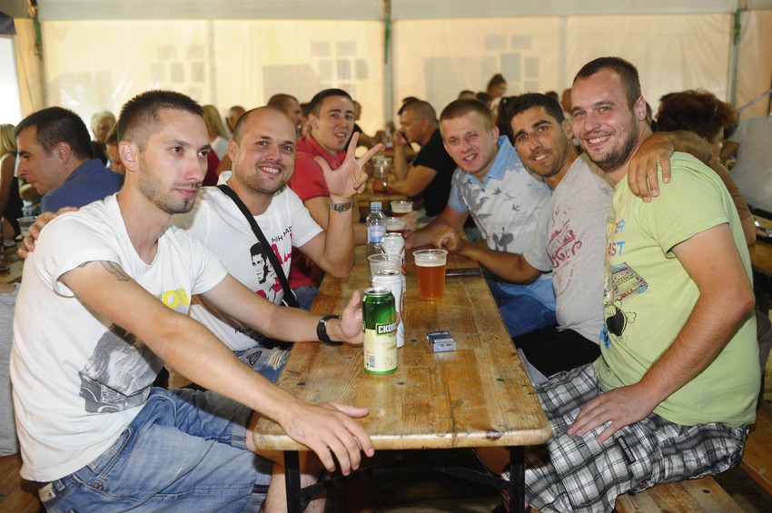 Domaći: Nemanja sa društvom