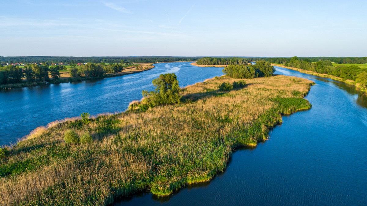 Renaturyzacja Odry. Ministerstwo środowiska przedstawia plany 