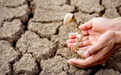 Wielka ucieczka. Nadchodzi globalna fala klimatycznych migracji