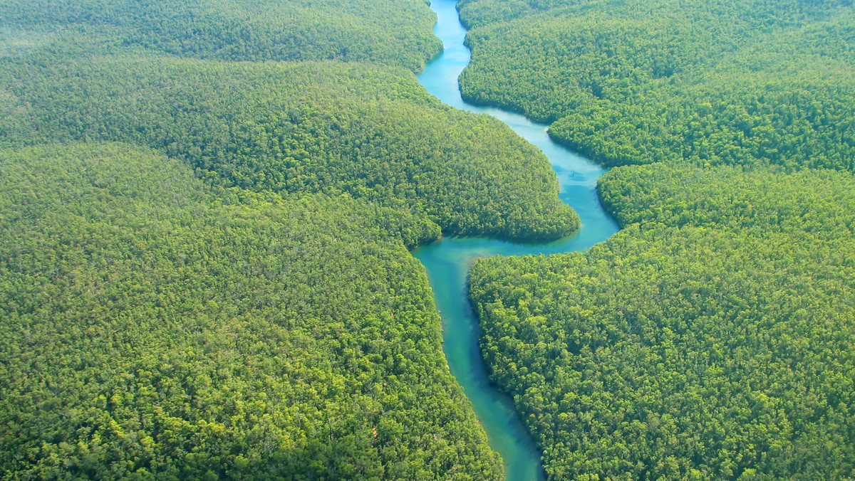 Rzeka Amazonka nabrała swego dzisiejszego charakteru co najmniej dziewięć milionów lat temu – opisują naukowcy na łamach pisma "Global and Planetary Change".