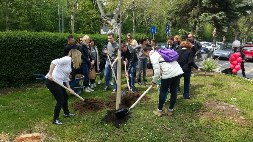 Studenti dve zemlje zajedničkim snagama sade lipu