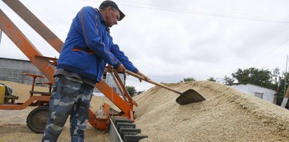 Kryzys zbożowy. Ukraina chce zmian, a rolnicy liczą straty