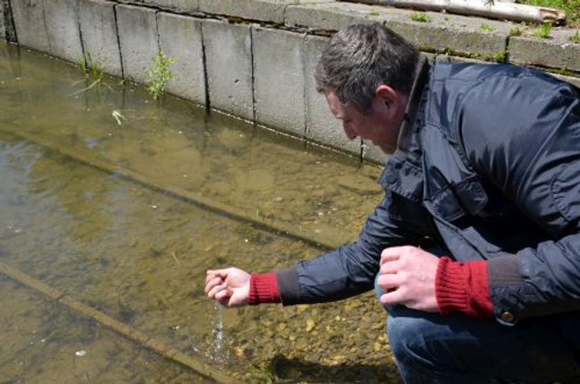 260 tys. małych szczupaków trafiło do Jeziora Goczałkowickiego