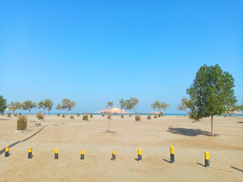 Pusta plaża Al Sawadi, Oman