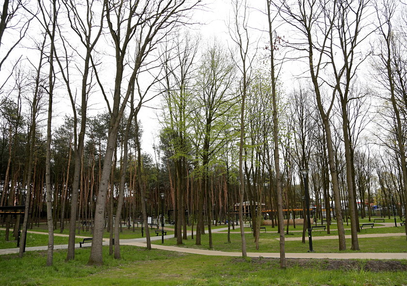 Park tylko dla dorosłych