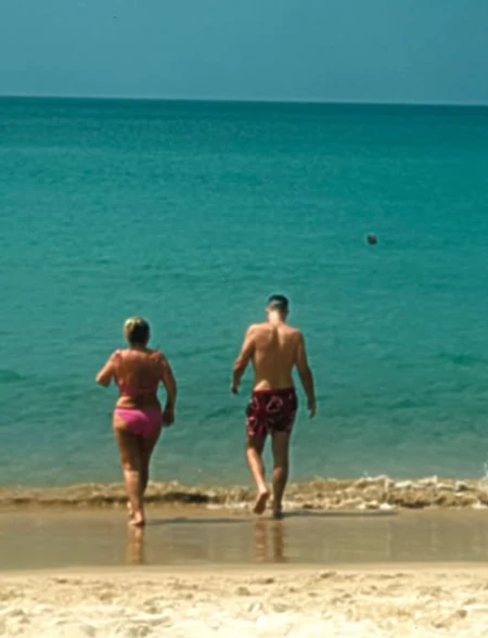 Objava Viktora Živojinovića