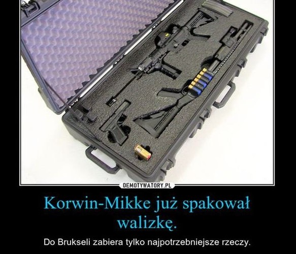 Janusz Korwin-Mikke mem