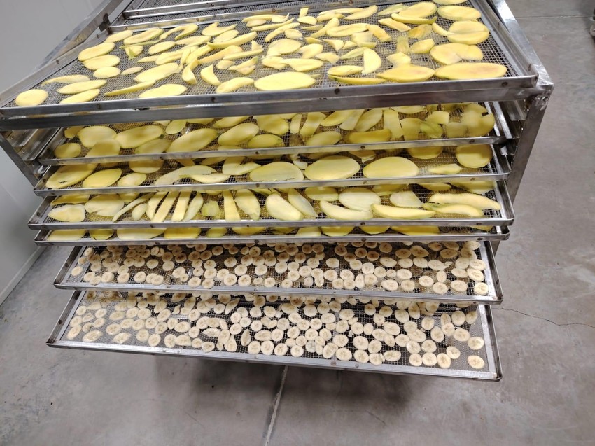 Proizvodnja u Srbiji