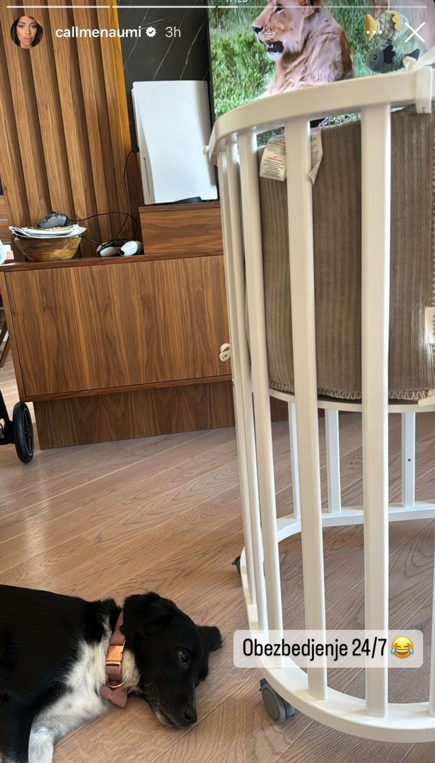 Mina Naumović objavila fotografiju iz porodičnog doma