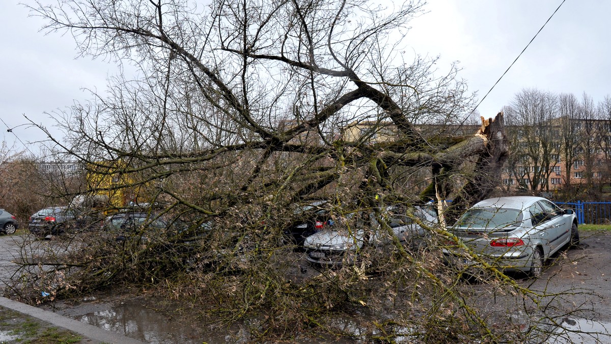 Ponad 7000 domów i mieszkań pozbawione zostało prądu w wyniku wyjątkowo silnego wiatru. Operator Enea na bieżąco naprawia zerwane linie, lecz przerwy w dostępie energii potrwają do wieczora.