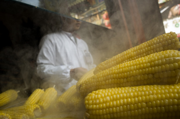 Słabnący dolar podbijał ceny kukurydzy, pszenicy i soi. fot. Bloomberg