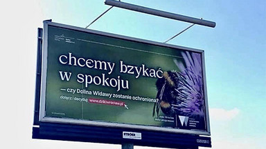 Kochaj, nie rżnij! – jak ekolodzy walczą o Wrocław