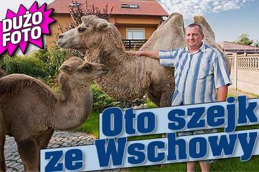 Szejk ze Wschowy! Po podwórku biegają mu...