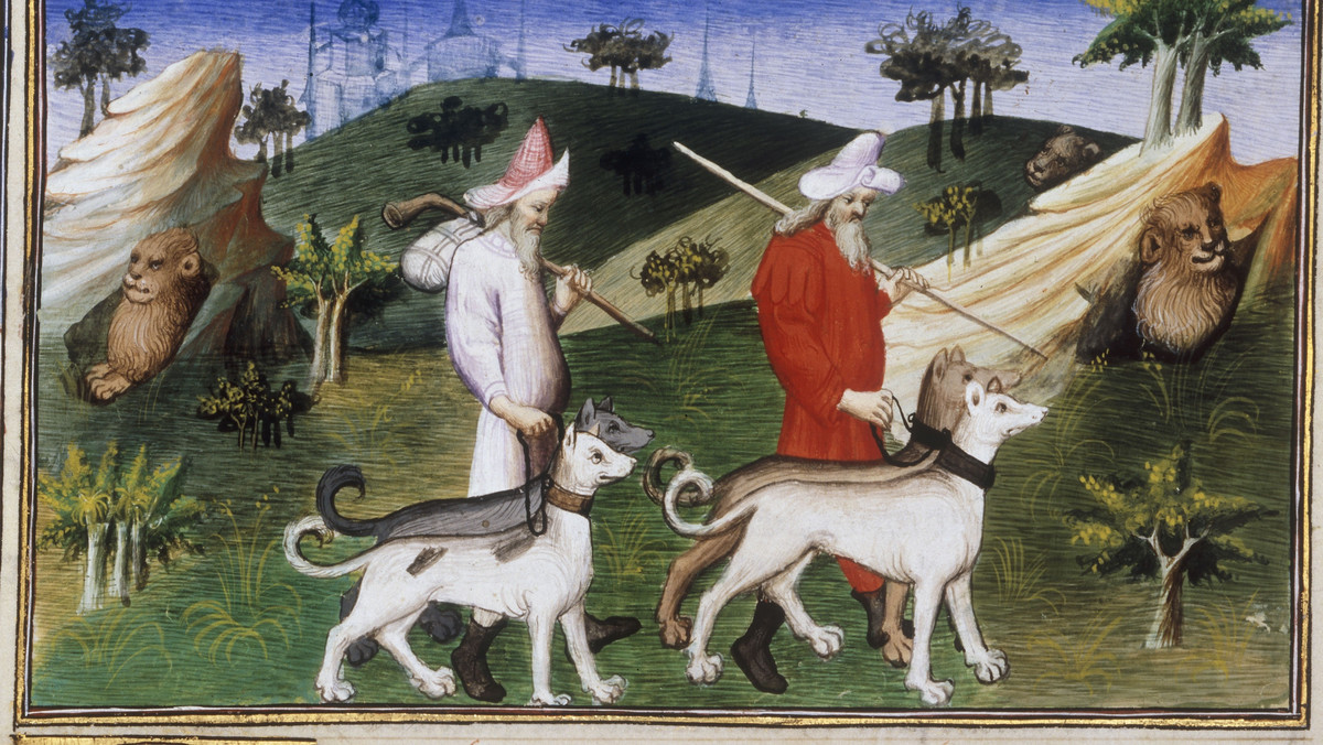 Jak traktowano psy w średniowieczu? Niektóre zwyczaje mogą zdziwić