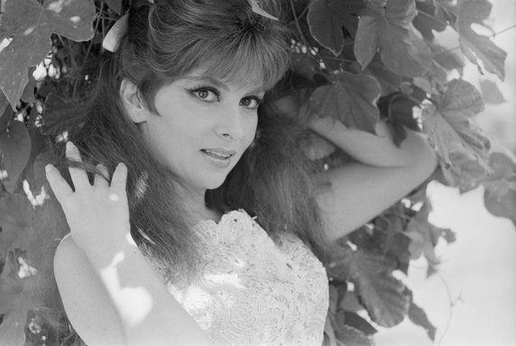 Gina Lollobrigida (1968)