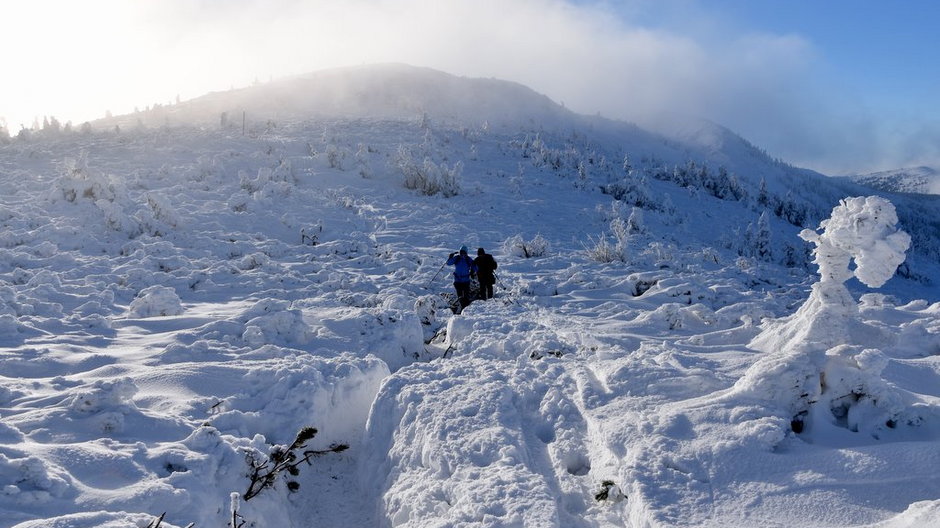 Babia Góra, Beskid żywiecki, szlak zimowy (zdjęcie ilustracyjne) 