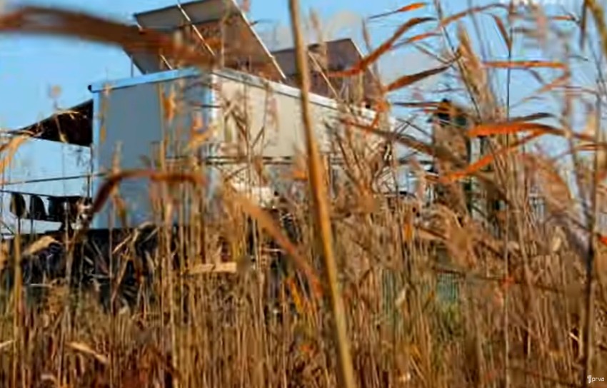 Ovde je Lane Gutović provodio vreme u svojoj vikendici