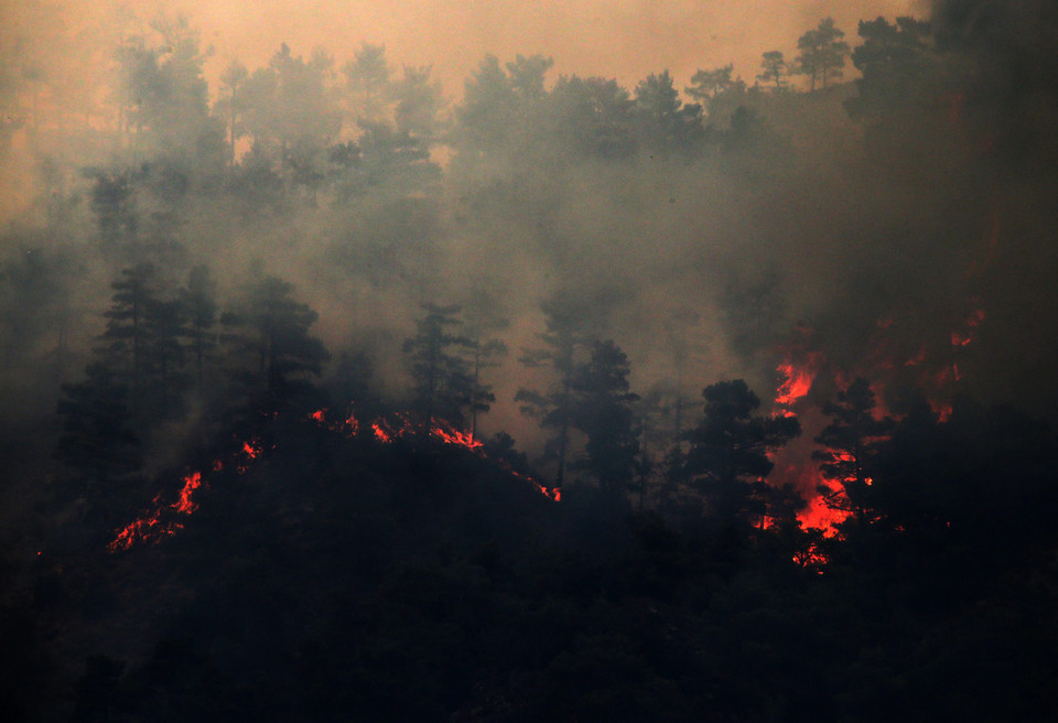 Cypr walczy z potężnymi pożarami lasów