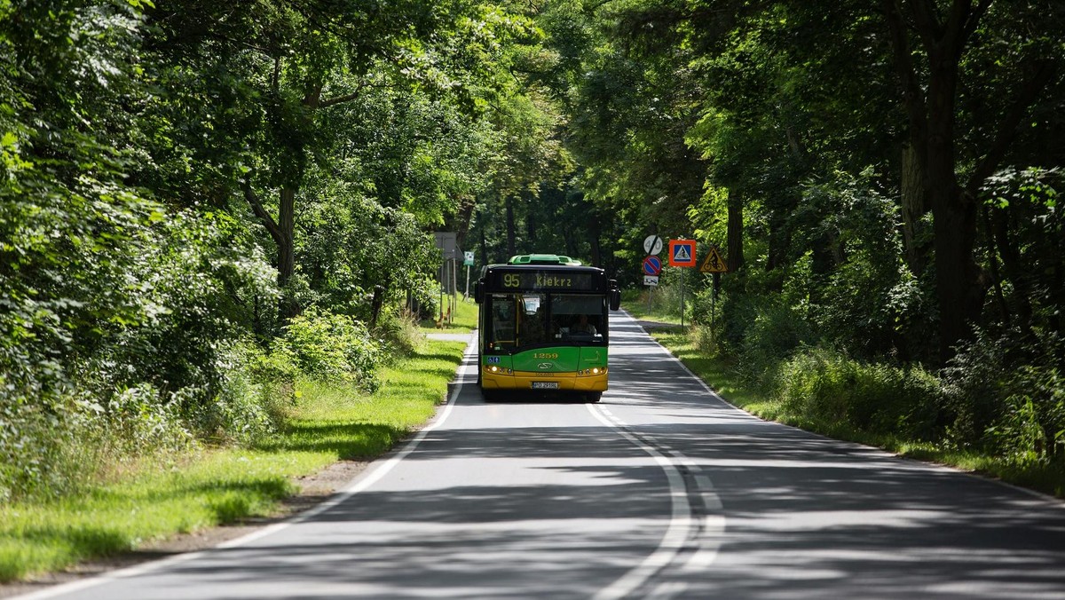 Wraz z początkiem wakacji i zakończeniem roku szkolnego, w Poznaniu obowiązywać będzie letni rozkład jazdy autobusów oraz tramwajów. Do 31 sierpnia mieszkańcy muszą liczyć się ze zmianami w rozkładzie jazdy. Plusem będzie wzmocnienie taboru - ma być bardziej komfortowo.