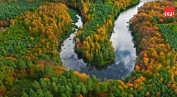 MKiŚ: Jesienią do konsultacji trafi strategia ochrony mokradeł w Polsce