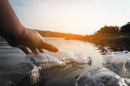 Niszczenie środowiska. Kto odpowiada, jak i kiedy [PORADNIK]