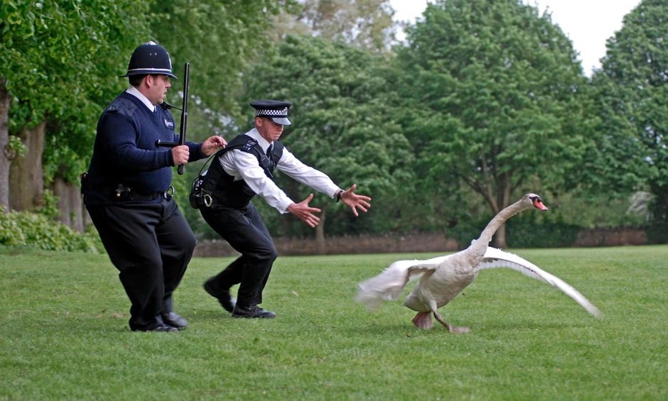 Hot fuzz
