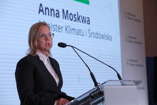 Minister Moskwa: Polskie służby zbadają wpływ wycieku gazu w hucie w czeskim Trzyńcu