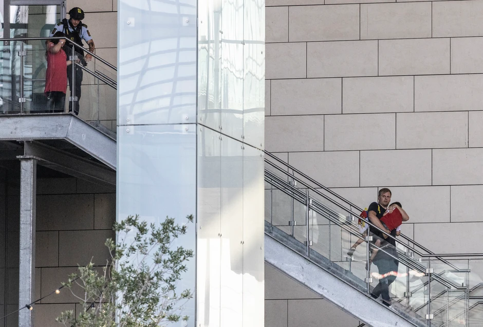 Pucnjava u Kopenhagenu