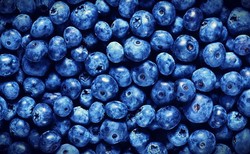 Borówka amerykańska podbija Polskę. Od wejścia do UE uprawa zwiększyła się dwunastokrotnie