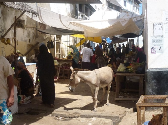 Osiołki są wszędzie - i na wąskich uliczkach...