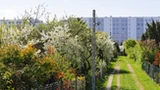 Milion złotych dla działkowców. Kasa popłynie na ROD