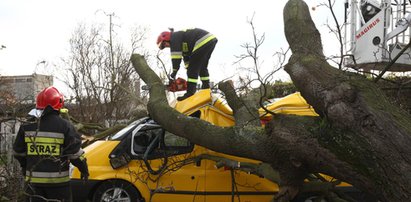 Tragiczny bilans wichury nad Polską