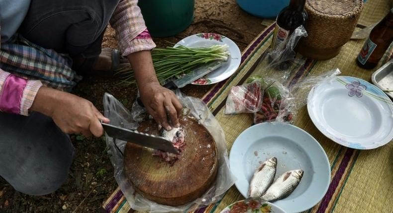 Millions of Thais across the rural northeast eat koi pla -- a local dish made of raw fish ground with spices and lime. The pungent meal is quick, cheap and tasty, but it is also a favourite feast for parasites that can cause a lethal liver cancer.