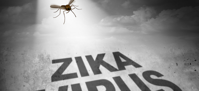 W USA badają nowe przypadki zakażenia Zika drogą płciową
