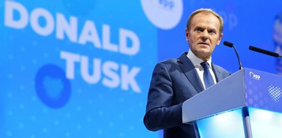 Tusk o kolegach z Sejmu. Był bezlitosny!