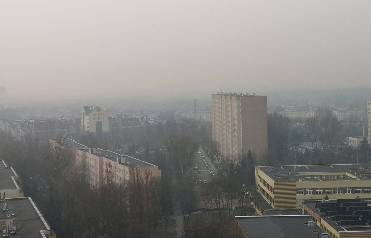 Ekosłupek w szkole, czyli jak gminy walczą ze smogiem