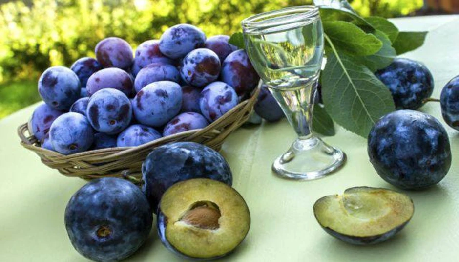 Šljivovica - za njom pate 