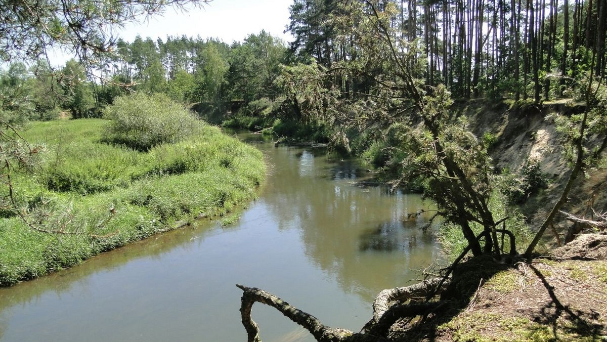 <strong>Prawie 100 km szlaków kajakowych na Warcie i Liswarcie zostanie oznakowanych do końca listopada. To pierwsze dwie rzeki objęte projektem popularyzacji turystyki kajakowej w województwie śląskim. </strong>