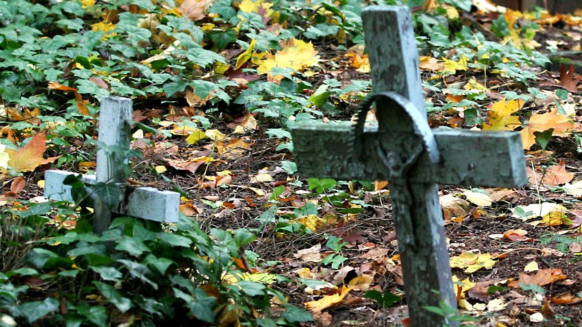 Na cmentarzu wykarczowano drzewa razem z nagrobkami. Zniszczenia dokonał proboszcz