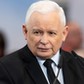 Prezes PiS Jarosław Kaczyński