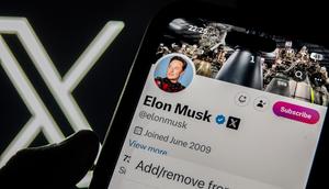 A survey found that Elon Musk's X is the least-trusted Big Tech company for US adults. Matt Cardy/Getty Images