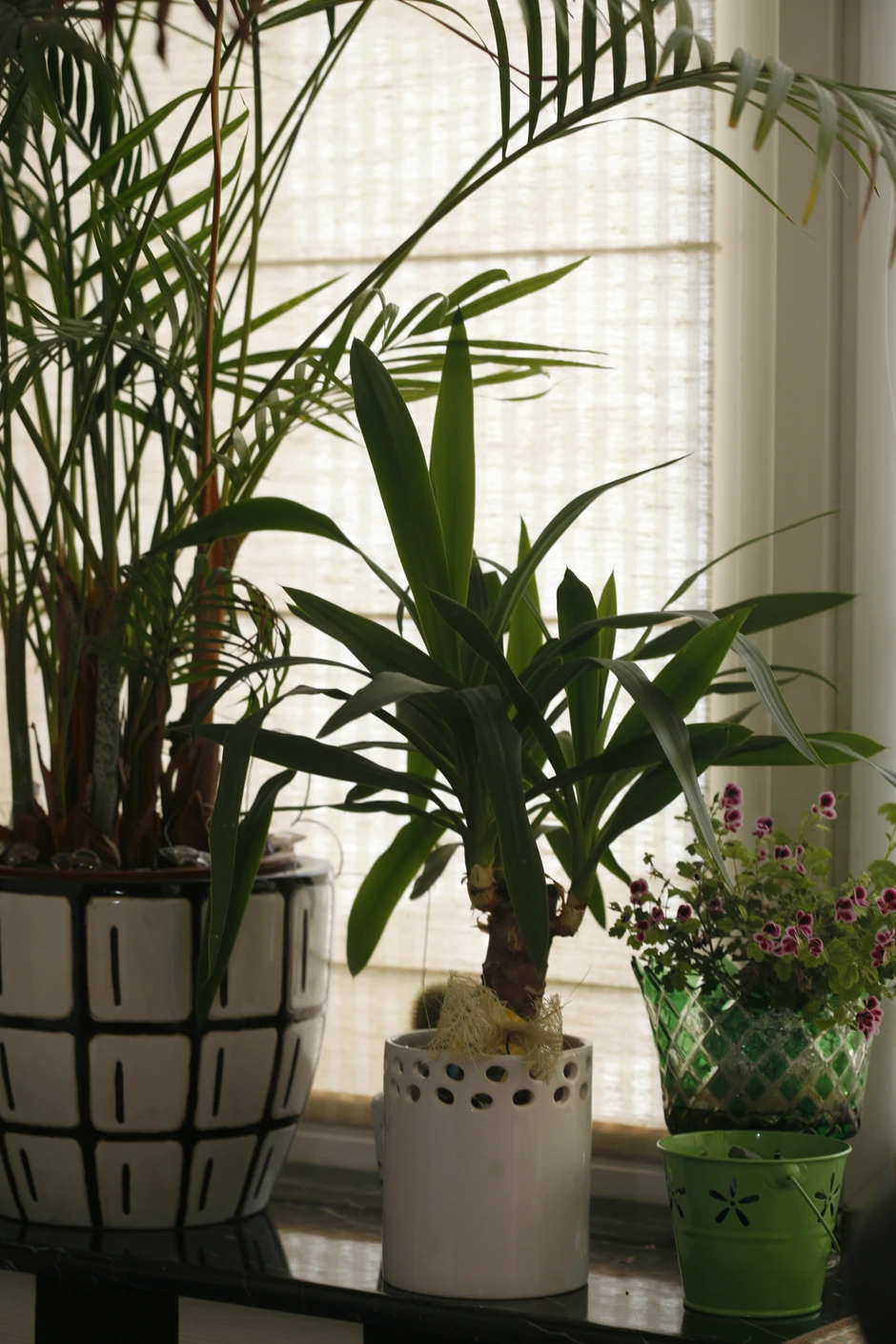 Kuća OIje Karleuše na Avali