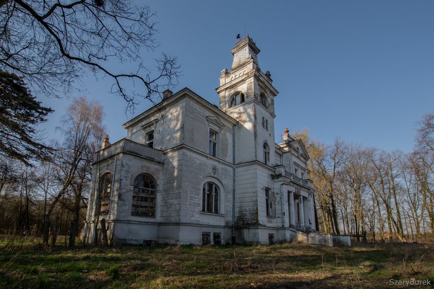 Pałac w Woli Boglewskiej